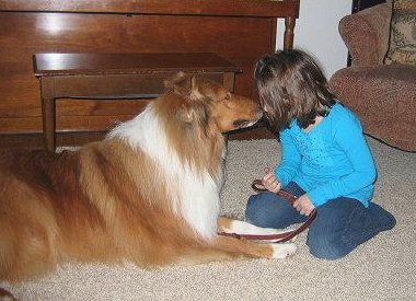 Kings Valley Collies dog Barry enjoys his family.